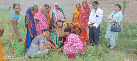 वृद्ध दिवस बना यादगार : बुजुर्गों को मिला स्नेह, सम्मान और मुस्कान